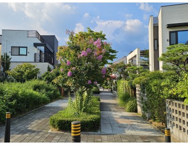 10월초 판교단독주택 통단독(1,2층) 전,월세 매물