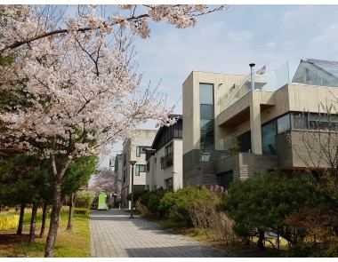 10월초 판교단독주택 2가구(층분리,듀플랙스) 전,월세 매물