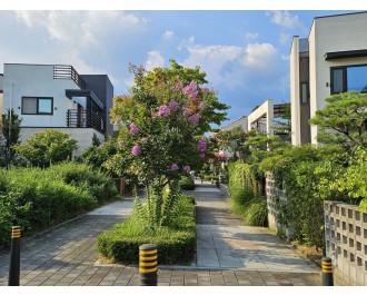 12월초 판교단독주택 각 블럭별 추천매물